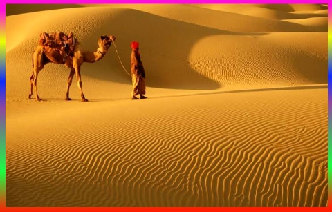 Sam Sand Dunes Jaisalmer